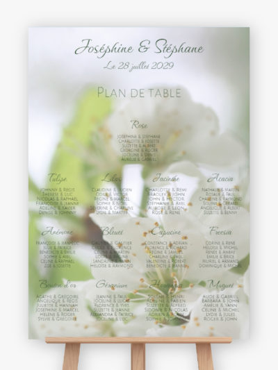 Plan de table mariage - Douceur florale