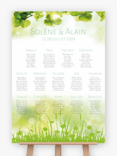 Plan de table mariage - Printemps été